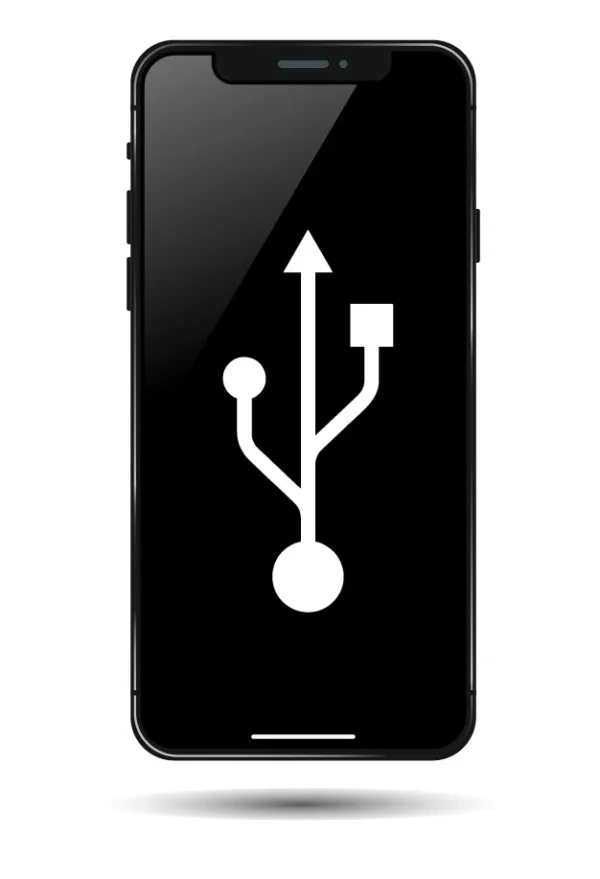 cambiar el conector de carga del iPhone Xr con recogida a domicilio